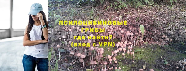 кокс Алзамай