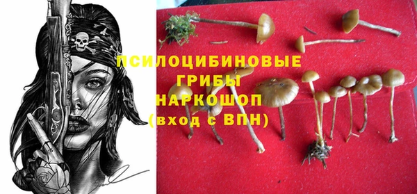 крисы Алексеевка