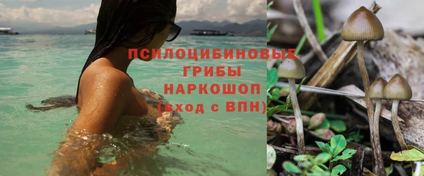 скорость Алексин