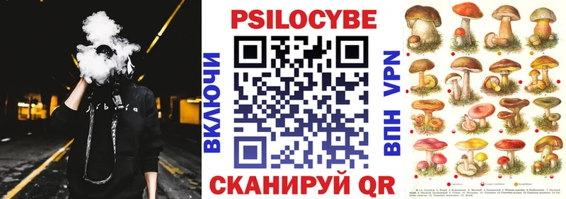 Галлюциногенные грибы мицелий  Кудрово 